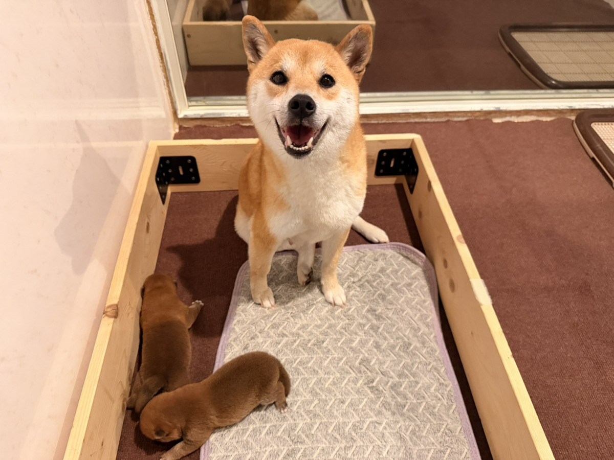 おこわの子育てルーム通信❤R8.4.6