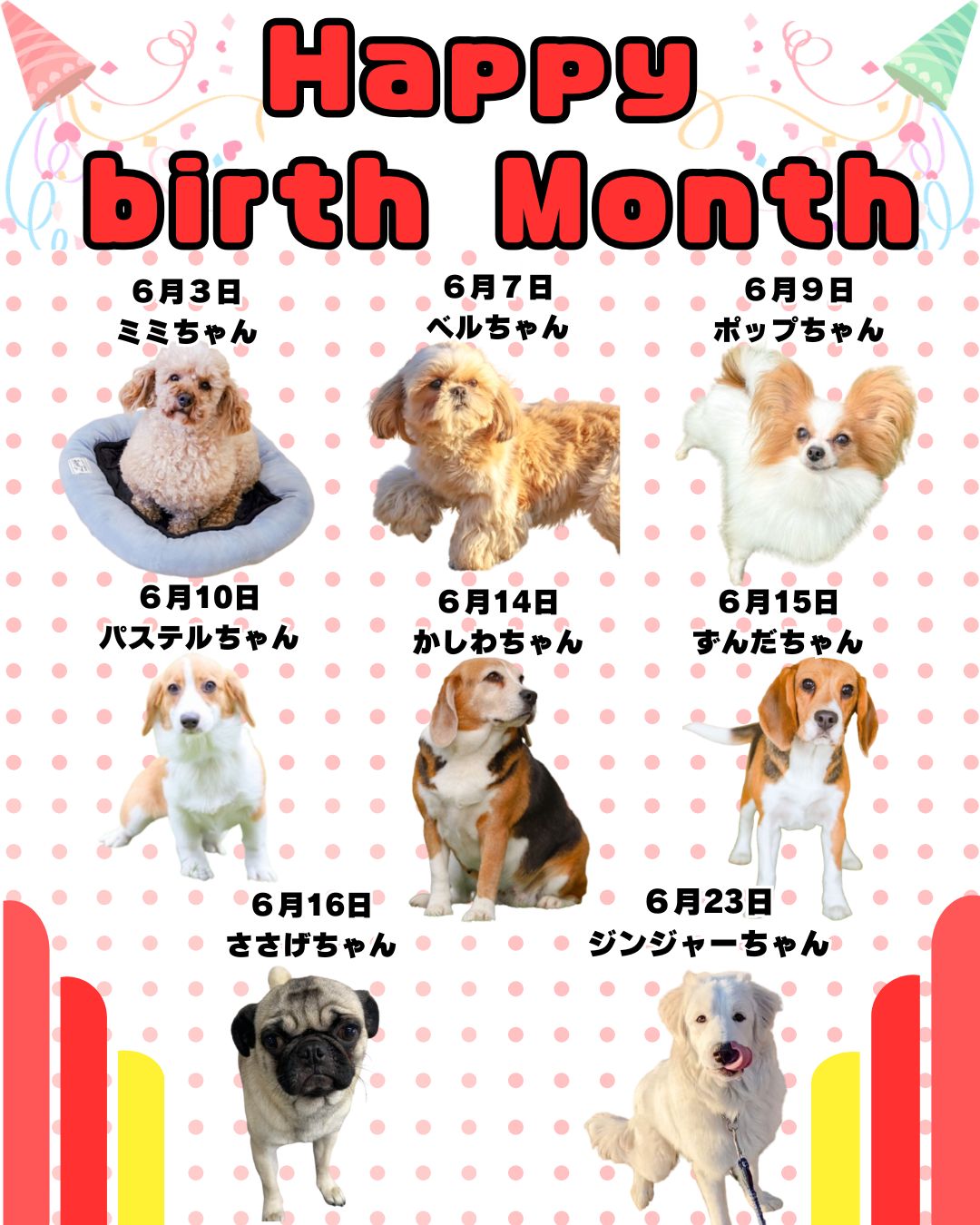 🎂🐾6月お誕生日のふれあい犬たち🐾🎂