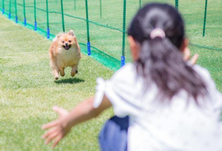 わんわん50m走[5月]記録発表！