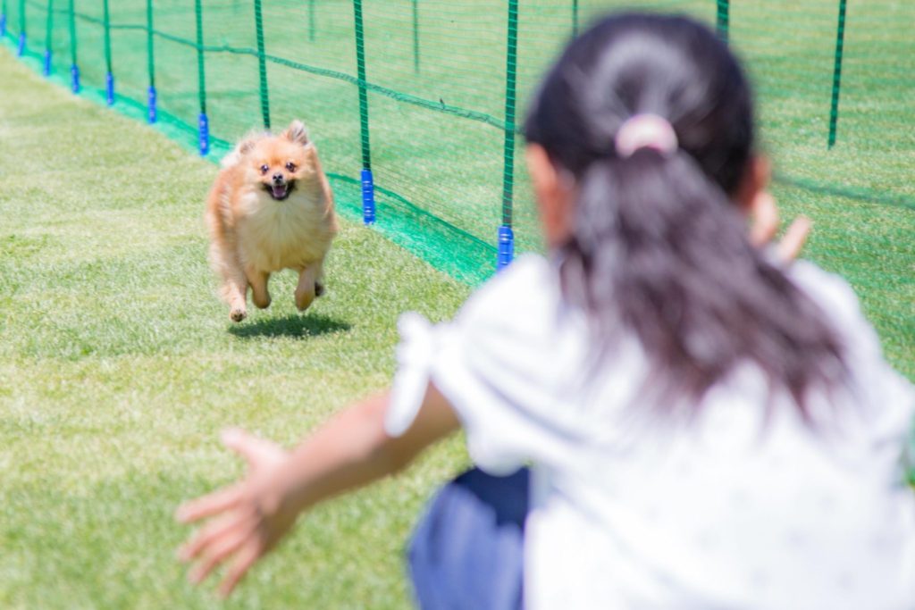 わんわん50m走[5月]記録発表！