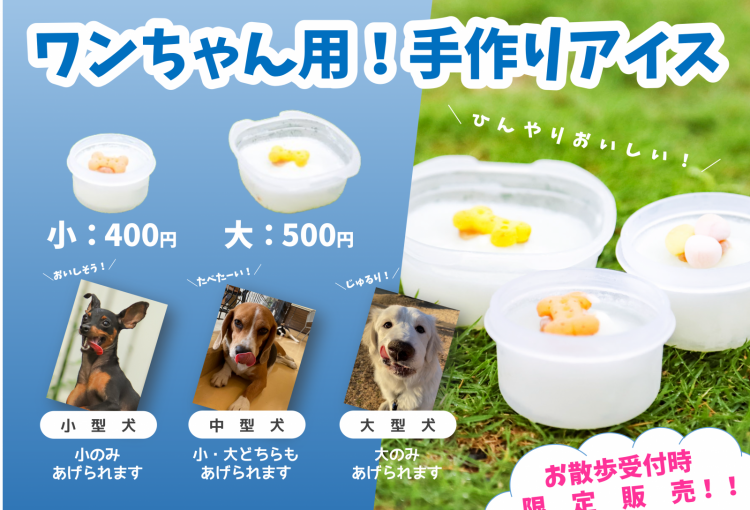 🌻夏季のふれあいコーナーについてのお知らせ🍉