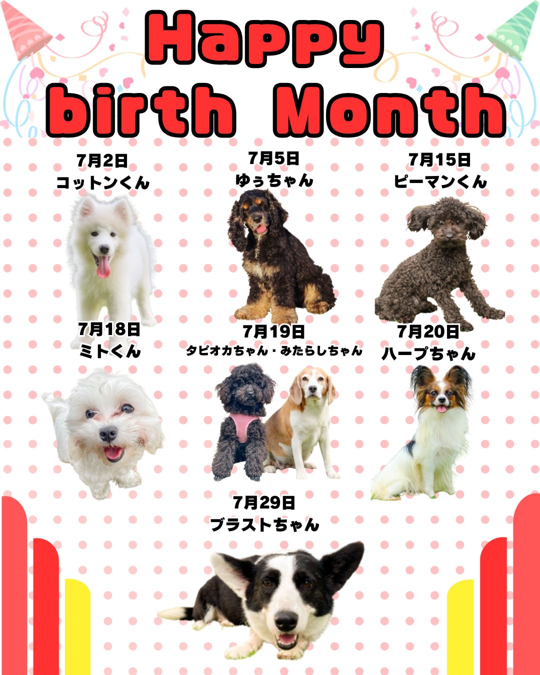 🎂🐾7月お誕生日のふれあい犬たち🐾🎂