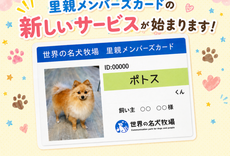 🌸里親メンバーズカードについて🌸