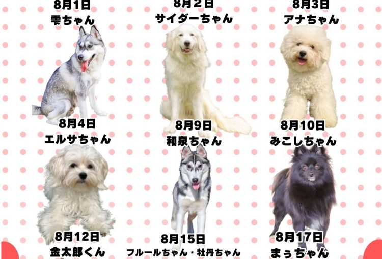 🎂🐾8月お誕生日のふれあい犬たち🐾🎂