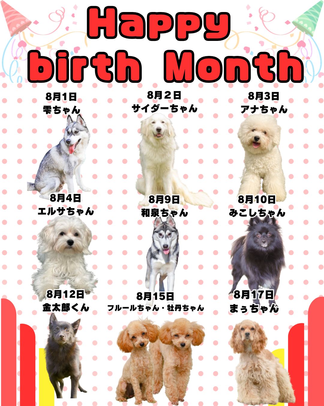 🎂🐾8月お誕生日のふれあい犬たち🐾🎂