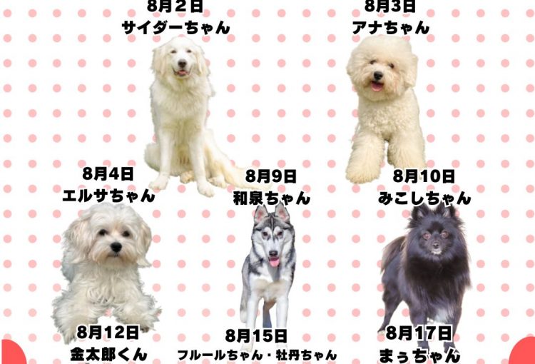 🎂🐾8月お誕生日のふれあい犬たち🐾🎂
