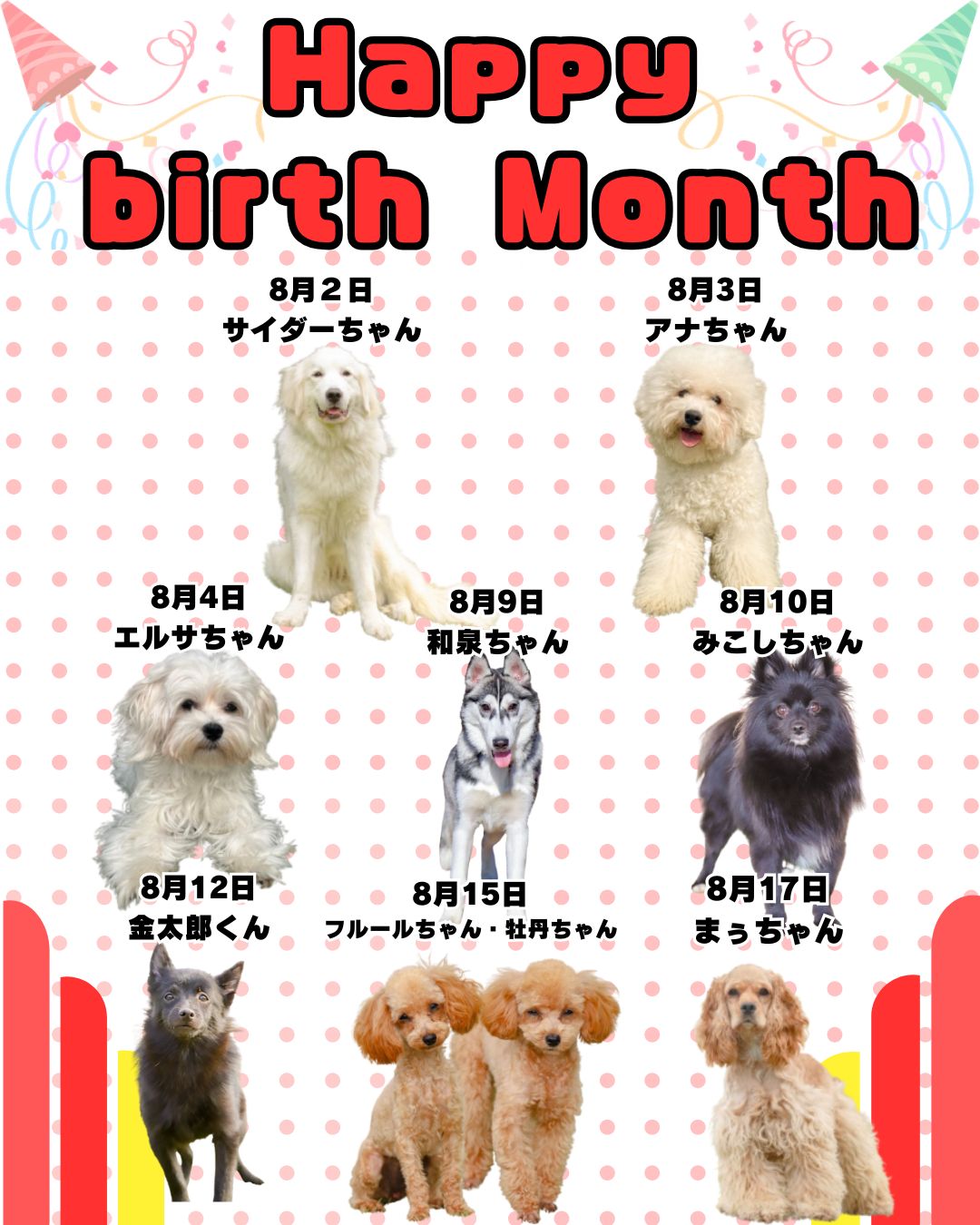 🎂🐾8月お誕生日のふれあい犬たち🐾🎂