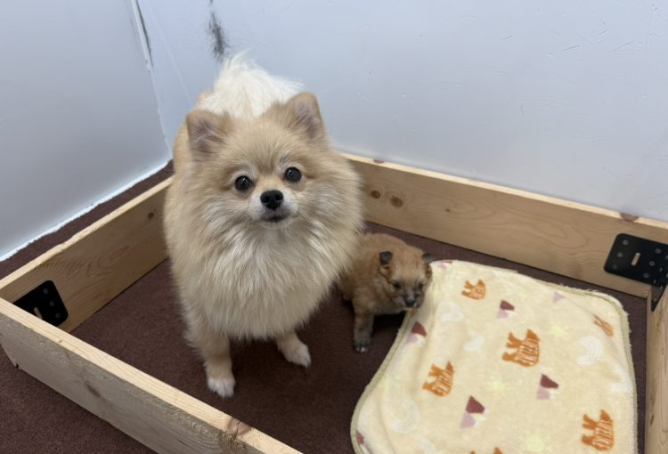 パキラの子育てルーム通信❤R8.8.28