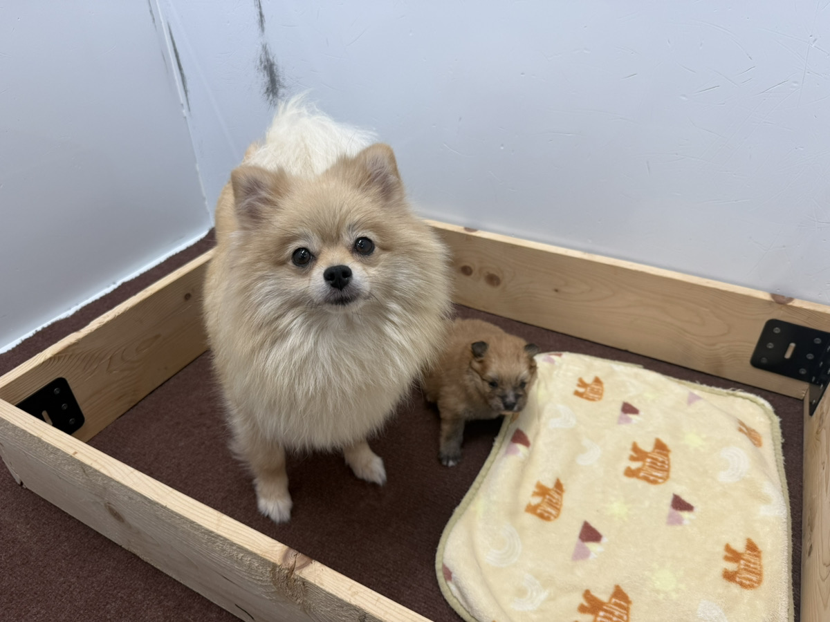 パキラの子育てルーム通信❤R8.8.28