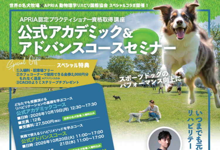APRIA認定プラクティショナー資格取得講座のお知らせ