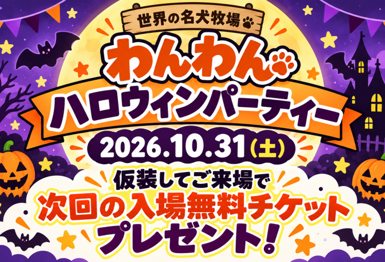 本日開催！わんわんハロウィンパーティー🎃♪