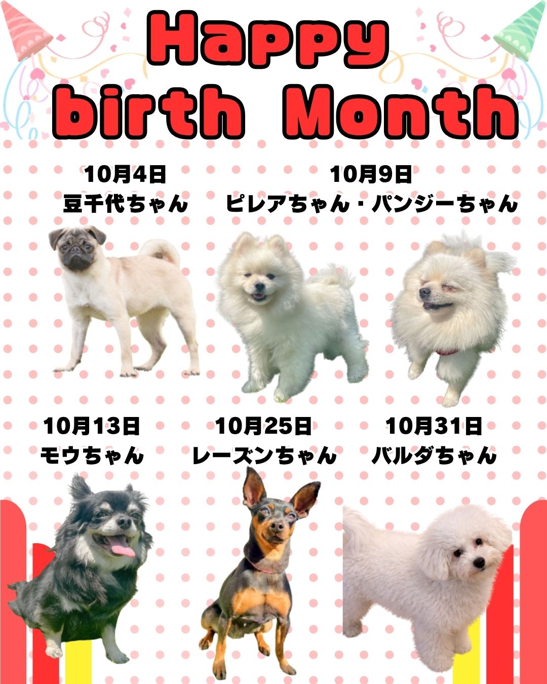 🎂🐾10月お誕生日のふれあい犬たち🐾🎂