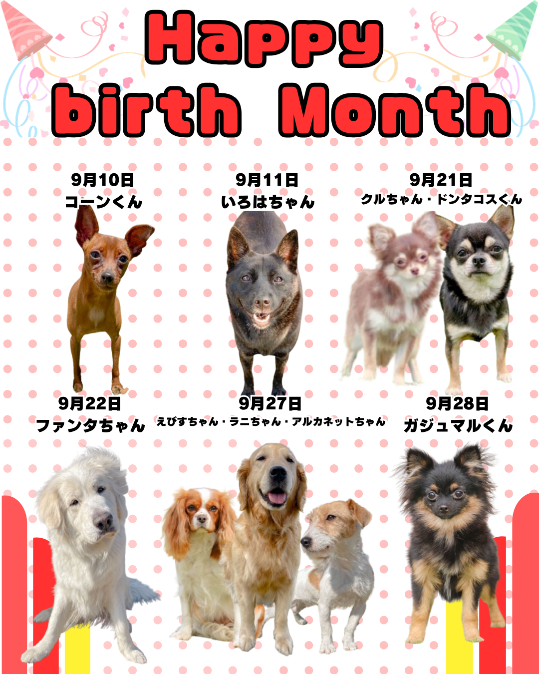 🎂🐾9月お誕生日のふれあい犬たち🐾🎂