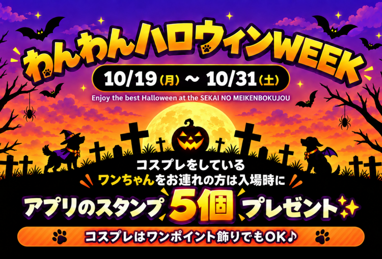 明日10月19日よりわんわんハロウィンウィーク開始♪